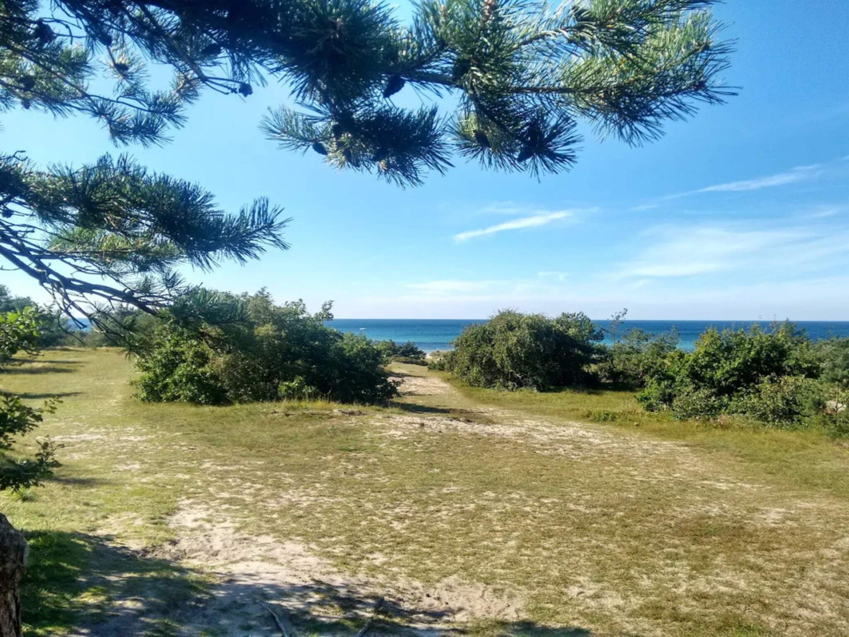 A natural landscape with a clear path leading to the sea, surrounded by greenery and trees.