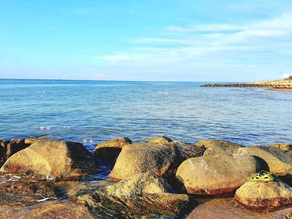 House | Water view