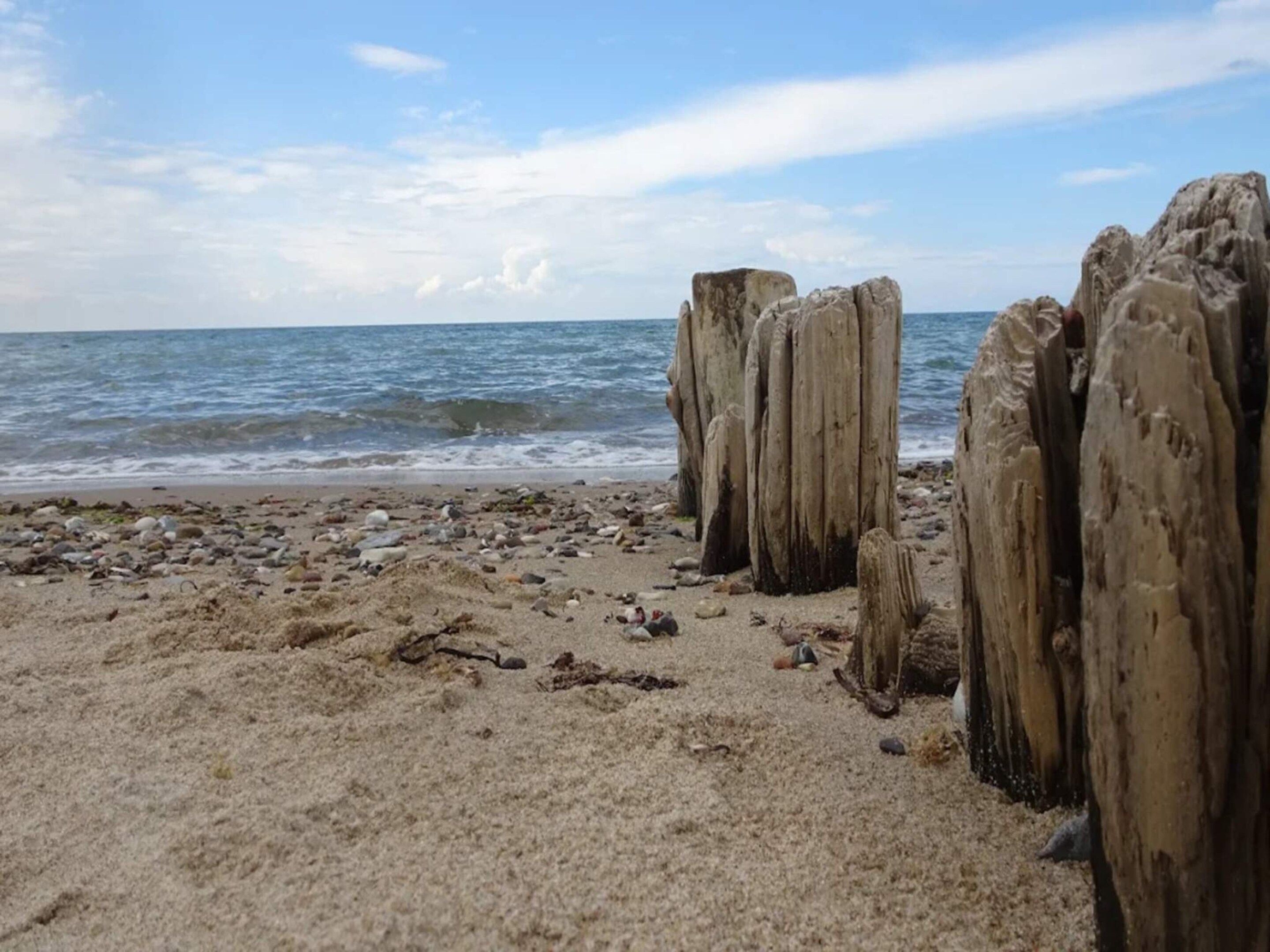 Ein Strand mit Treibholz und Kieselsteinen, ein sandiger Uferstreifen und das Meer im Hintergrund.