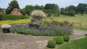 A garden with a paved walkway, flowering plants, and neatly trimmed bushes. - Holiday Apartment Erika Leonhardt (Dersau)