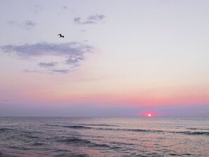 Um pôr do sol sobre o oceano com um pássaro voando.