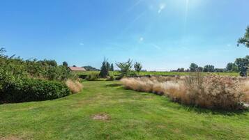 Apartment | View from property