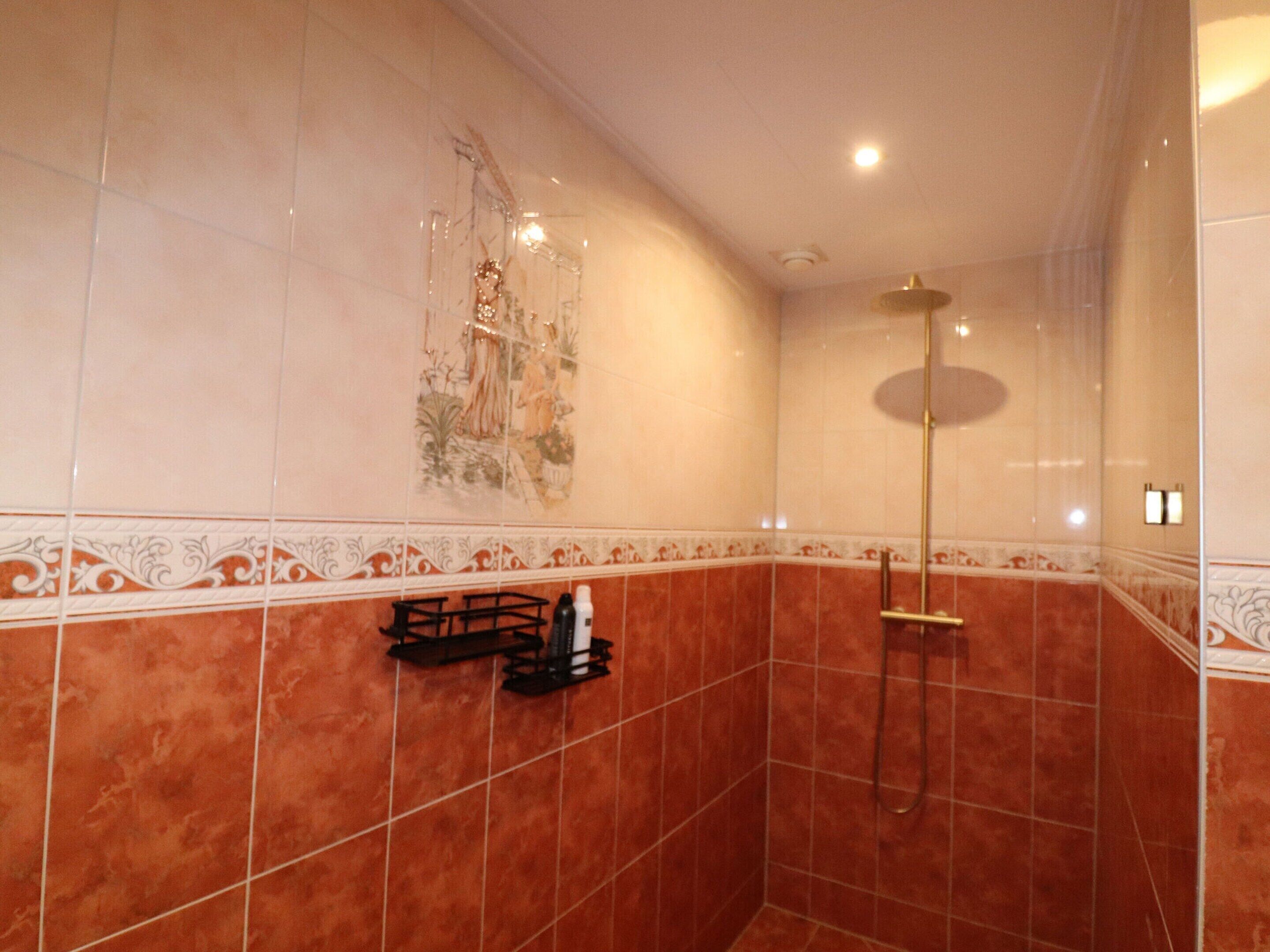 A bathroom with red tiles, a shower, and a decorative wall.