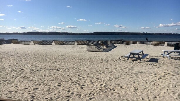 A beach with a wooden fence, lounge chairs, and picnic tables.