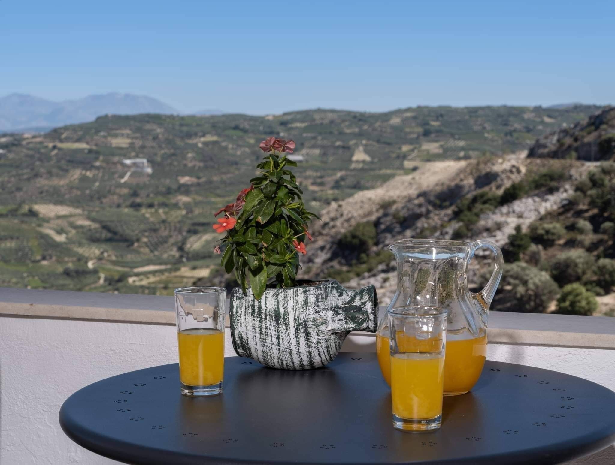 A table with a pitcher and two glasses of orange juice, a potted plant with red flowers, and a scenic view of hills and mountains in the background.