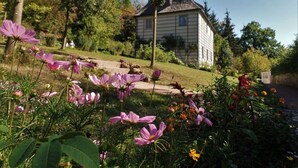 Ein Haus mit schrägem Dach und einer kleinen Veranda, umgeben von einem Garten mit verschiedenen Blumen und Bäumen.