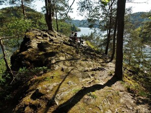 A rocky outcrop with a bench overlooking a lake surrounded by trees. - Holiday Home Lake View (Unterwellenborn)