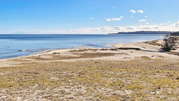 House | Beach - 4 Star Holiday Home in Skillinge (Skillinge)