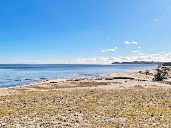 House | Beach - 4 Star Holiday Home in Skillinge (Skillinge)
