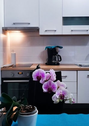 House | Private kitchen | Oven, electric kettle - Apartment in Uberlingen (Vodice)