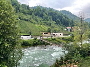 Luxury Bungalow, River View | View from room