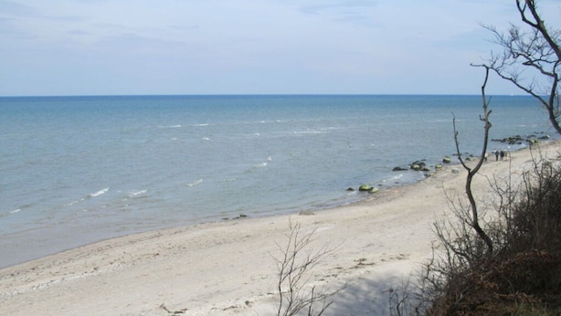 Ein Strand mit sandigem Ufer und ruhigem Wasser.
