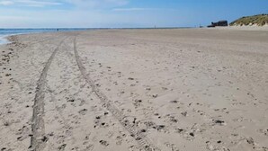 Une vaste plage de sable, parsemée d’empreintes de pas et de traces de pneus, un ciel dégagé et un bâtiment visible au loin, sur la droite.
