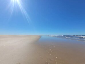 A beach with a clear sky and sunlight. - 4 Star Holiday Home in Blavand (Blavand)