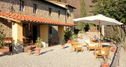 Beautiful Cottage in Pescia