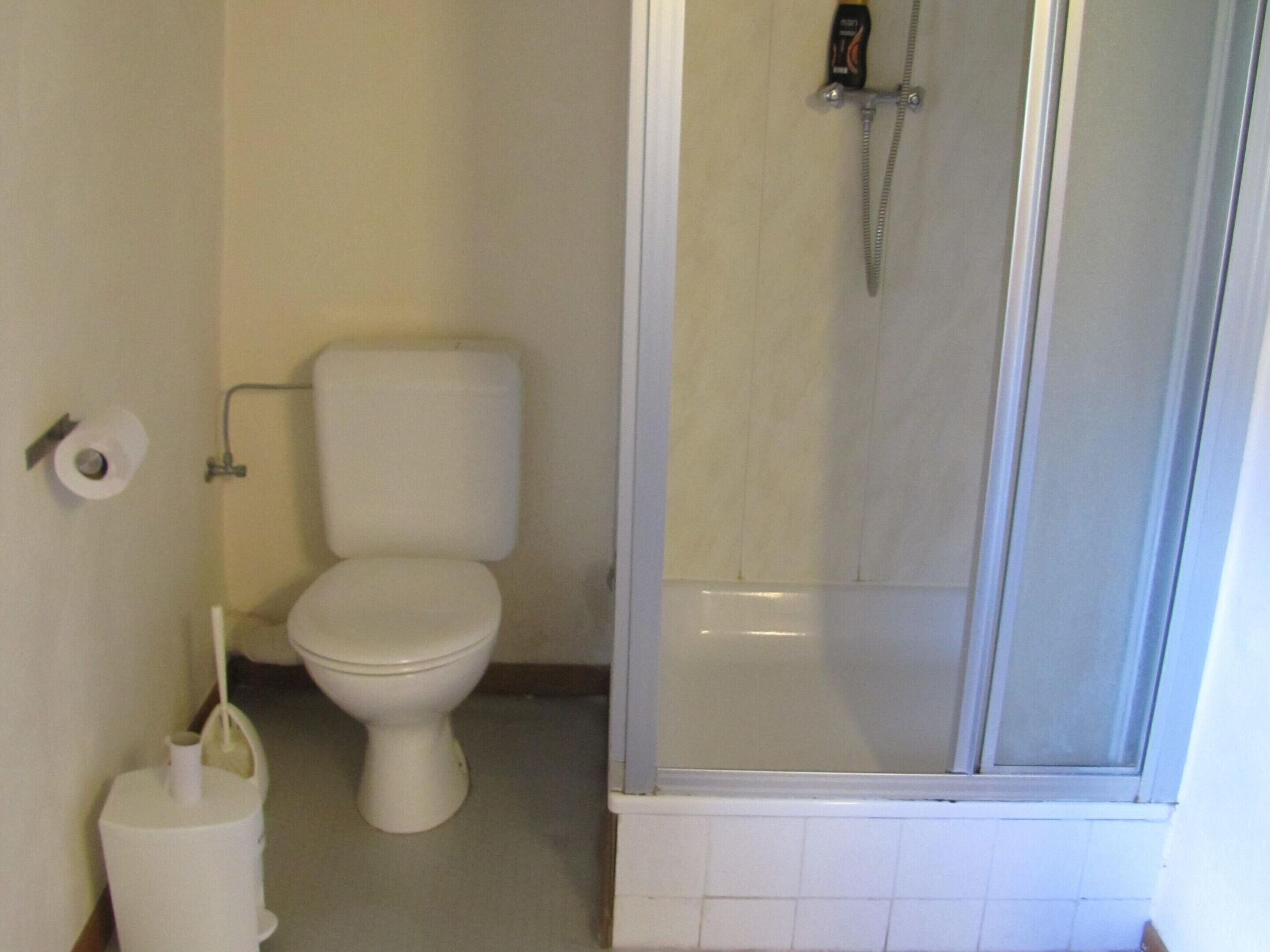 Une salle de bain équipée de toilettes, d’une douche et d’un porte-rouleau de papier toilette.