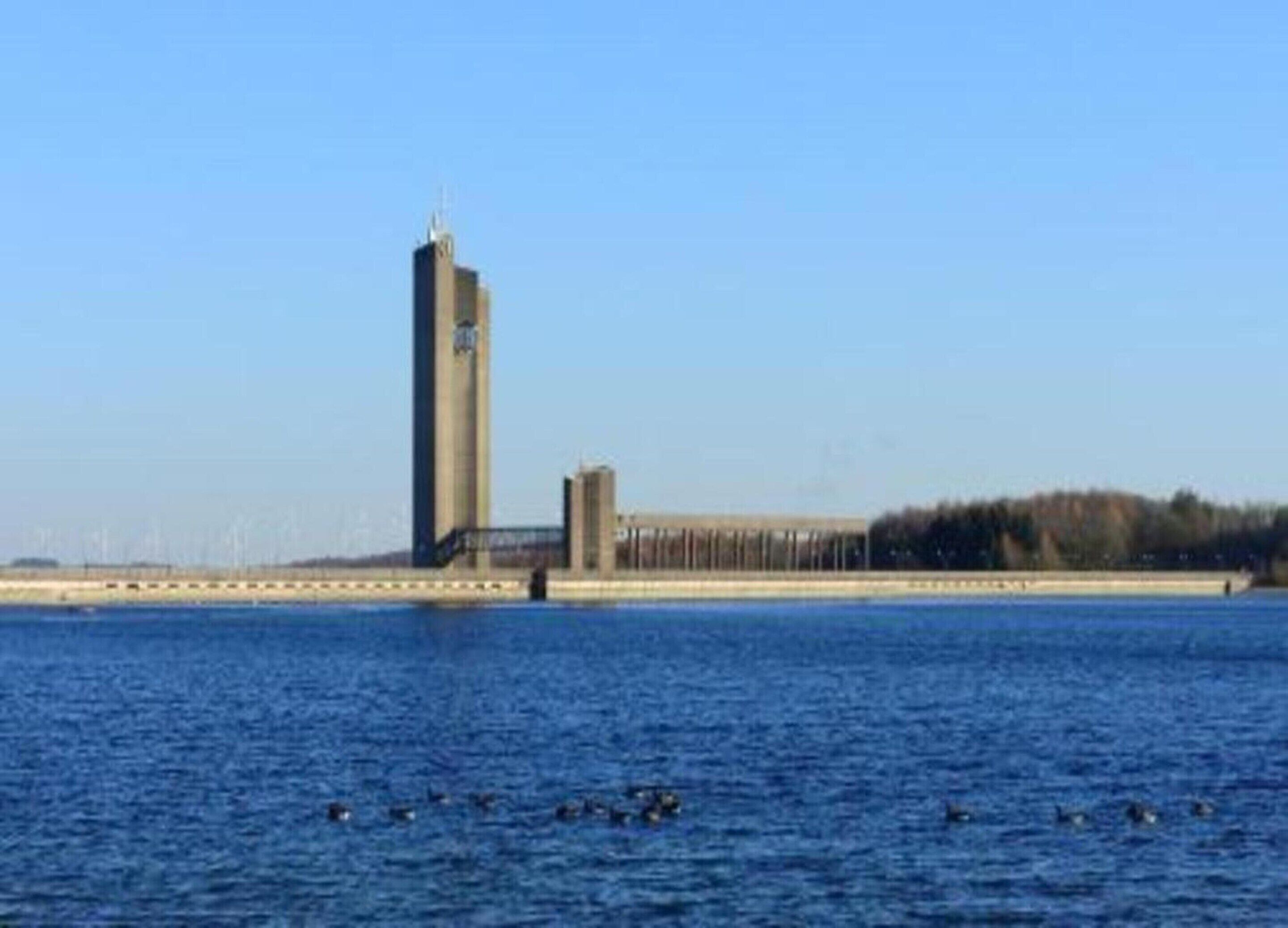 A tall building with a spire, located near a body of water with ducks swimming.