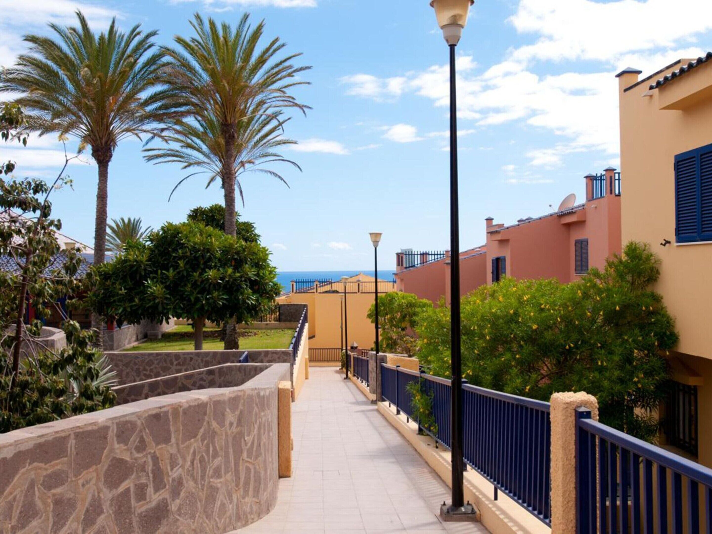 A pathway lined with palm trees and a stone wall, leading to a building with a blue railing and a lamp post.