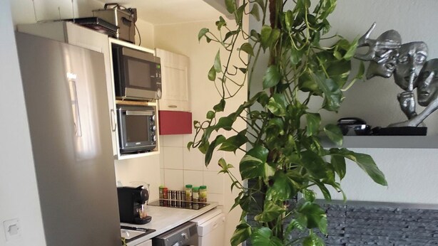 Une cuisine compacte équipée d’un réfrigérateur en acier inoxydable, d’un four à micro-ondes, d’un lave-linge et d’une plante en pot.