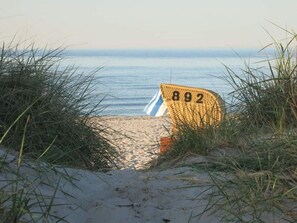 A beach chair with the number 892 on a sandy beach with grass in the foreground and the sea in the background. - Hoppetosse Comfortable Holiday Residence (Schönberg)