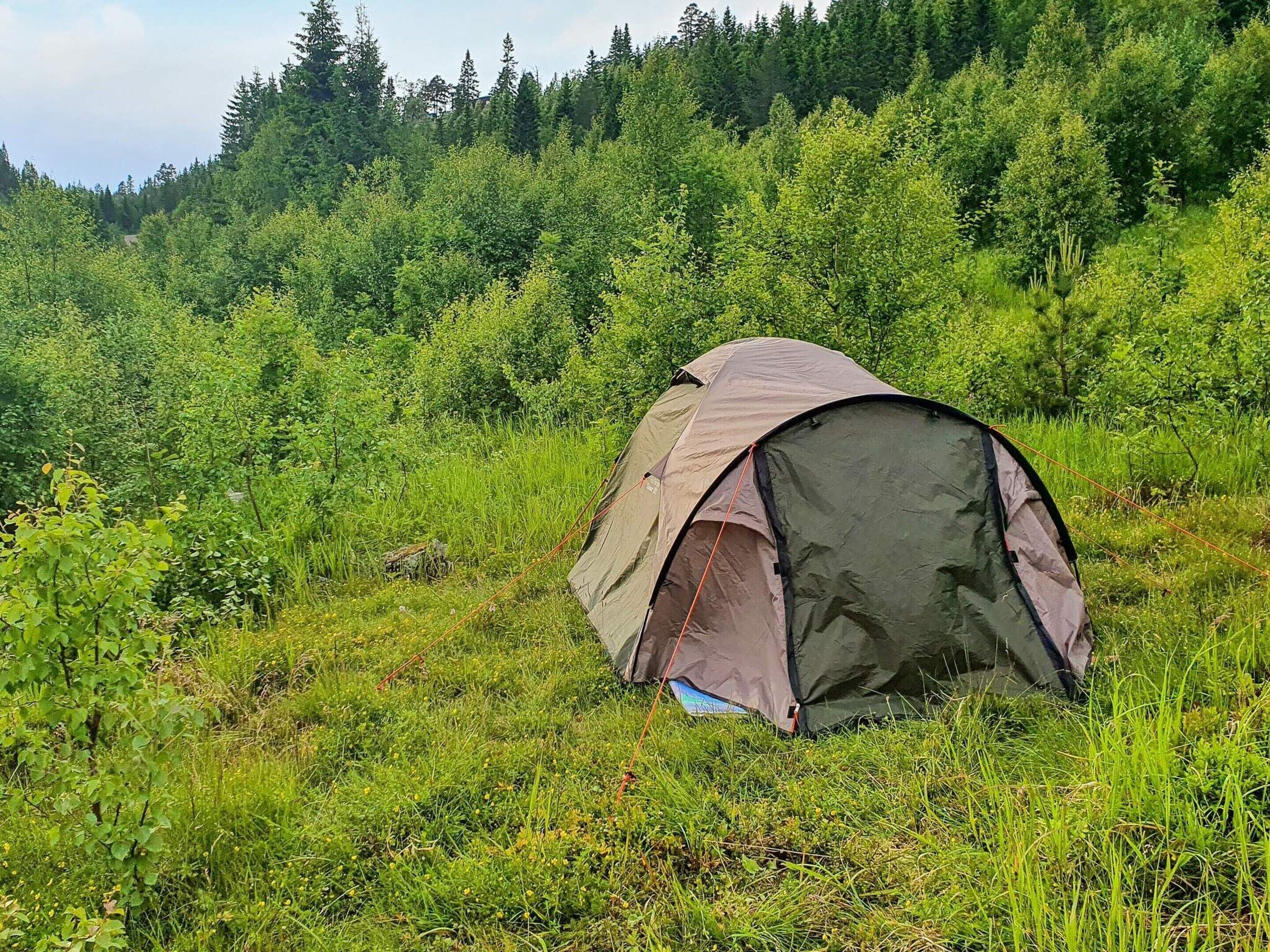 A tent set up in a grassy field with dense forest in the background.