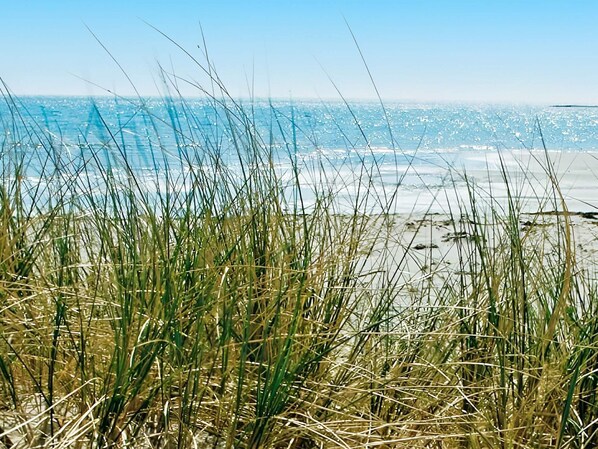 House | Beach - 4 Star Holiday Home in Asa-by Traum (Åsa)