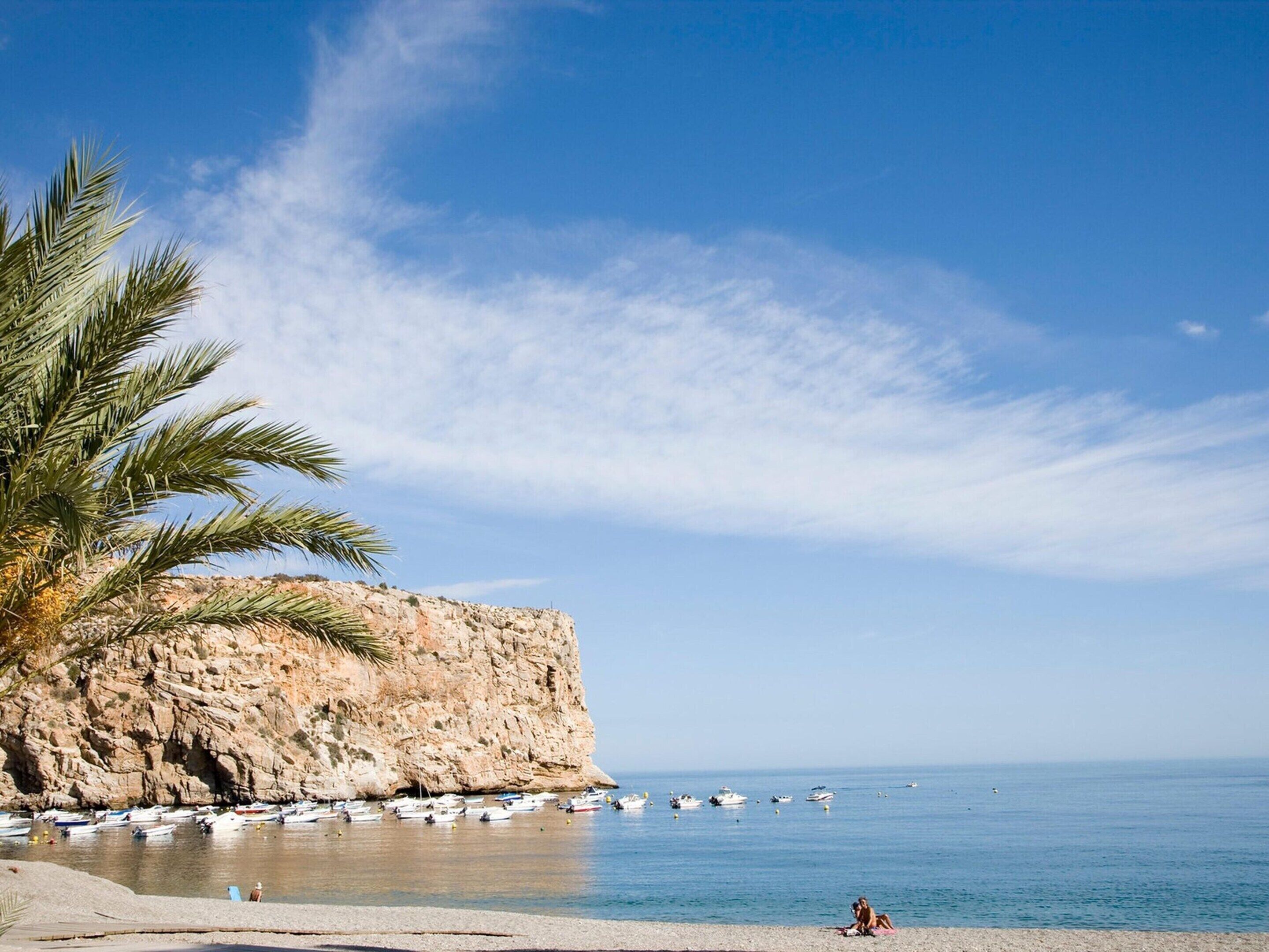 Departamento | Vista desde la propiedad