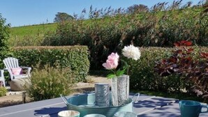 An outdoor dining table set with teal tableware and a vase of flowers, surrounded by a garden. - Holiday Home Deichblick 58 (Andijk)