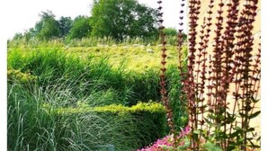 A garden with various plants and a pathway. - Holiday Home Deichblick 58 (Andijk)