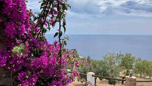 A view of a coastal area with bougainvillea flowers in the foreground and a clear sky. - Villa Near Adra With Sea and Mountain Views (Adra)