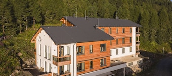Luxury Chalet in Turracher Hohe With Sauna
