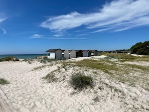 Eine Reihe von Strandkörben vor einem Sandstrand und Dünen, über ihnen ein klarer, blauer Himmel.