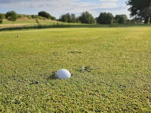 A golf ball on a well-maintained grass field. - 4 Star Holiday Home in Hollviken (Ljunghusen)