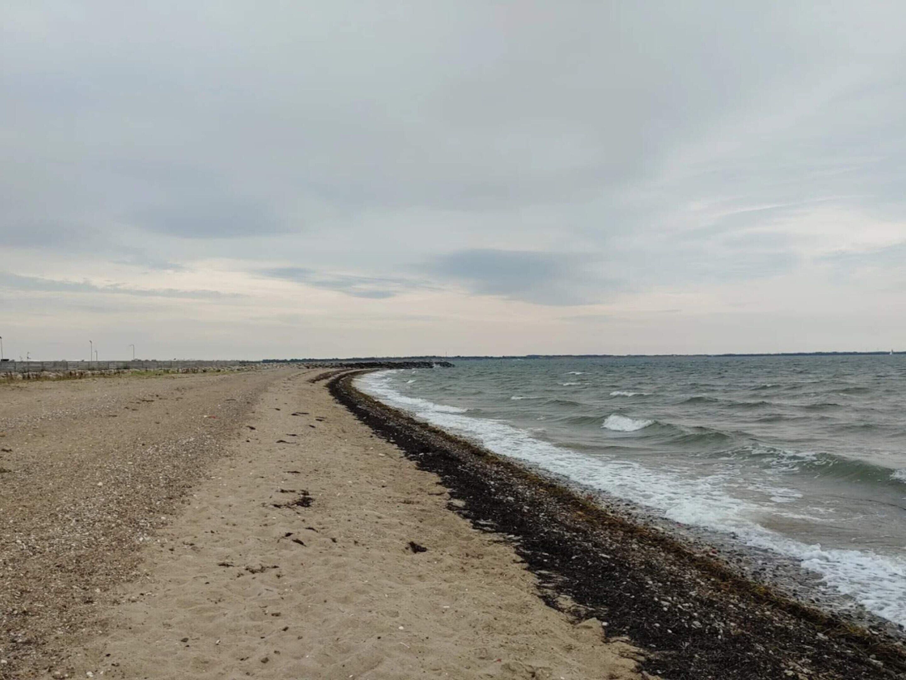 Uma praia com uma extensa faixa de areia e algas na orla.