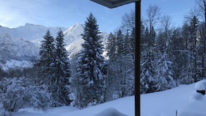 Un paysage de montagne enneigé, avec des arbres recouverts de neige et un ciel dégagé.