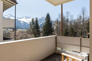 View from property - Holiday Apartment Chalet Meise (Adelboden)
