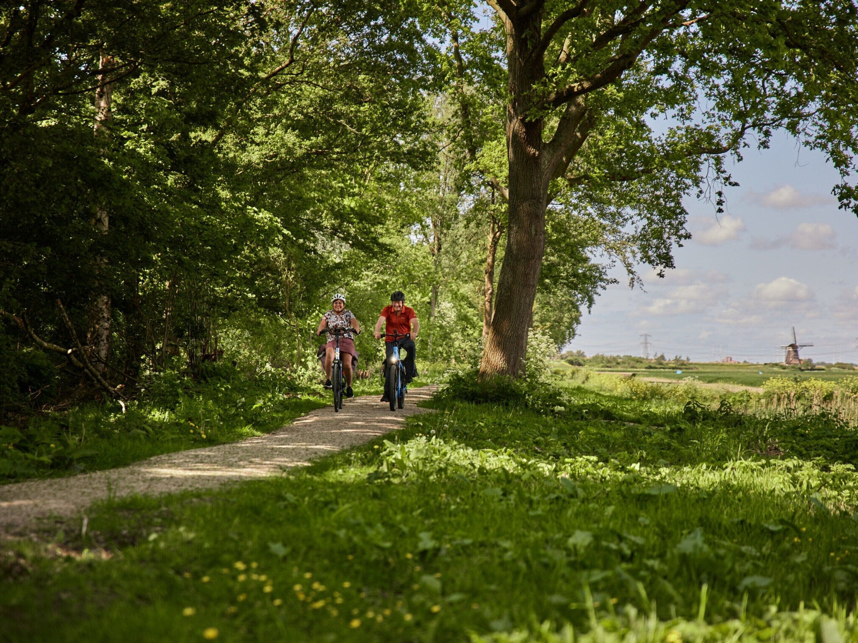 A narrow path flanked by lush greenery and a large tree, leading to a distant windmill.