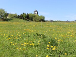 Property grounds - Holiday Home Zinnwald Large (Altenberg)