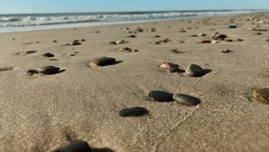 En strand med spredte sten og en klar himmel.