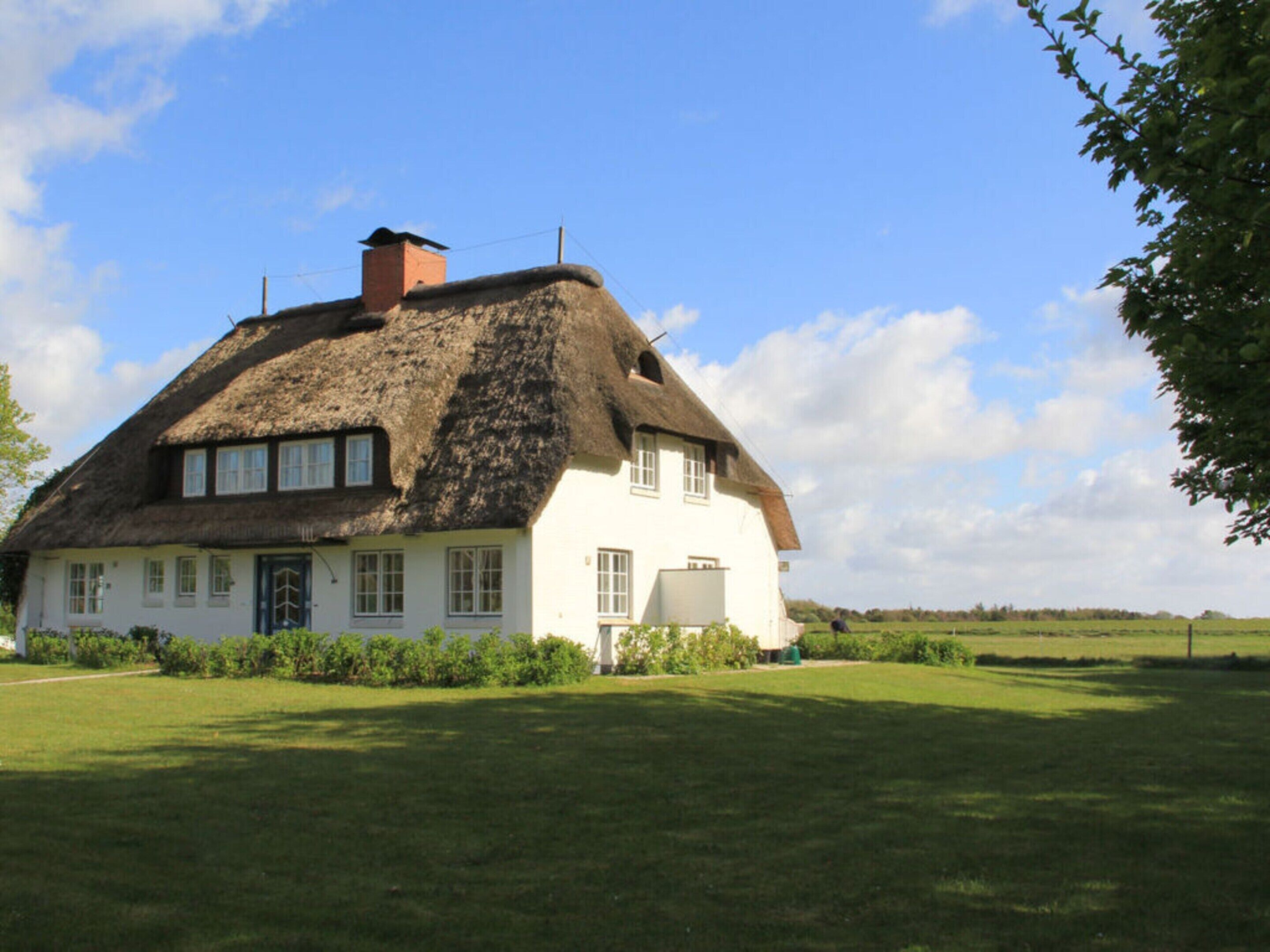 A white house with a thatched roof and multiple windows.