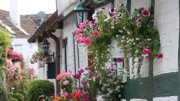 A narrow street with white buildings and hanging flower baskets. - Rose Comfortable Holiday Residence (Kappeln)