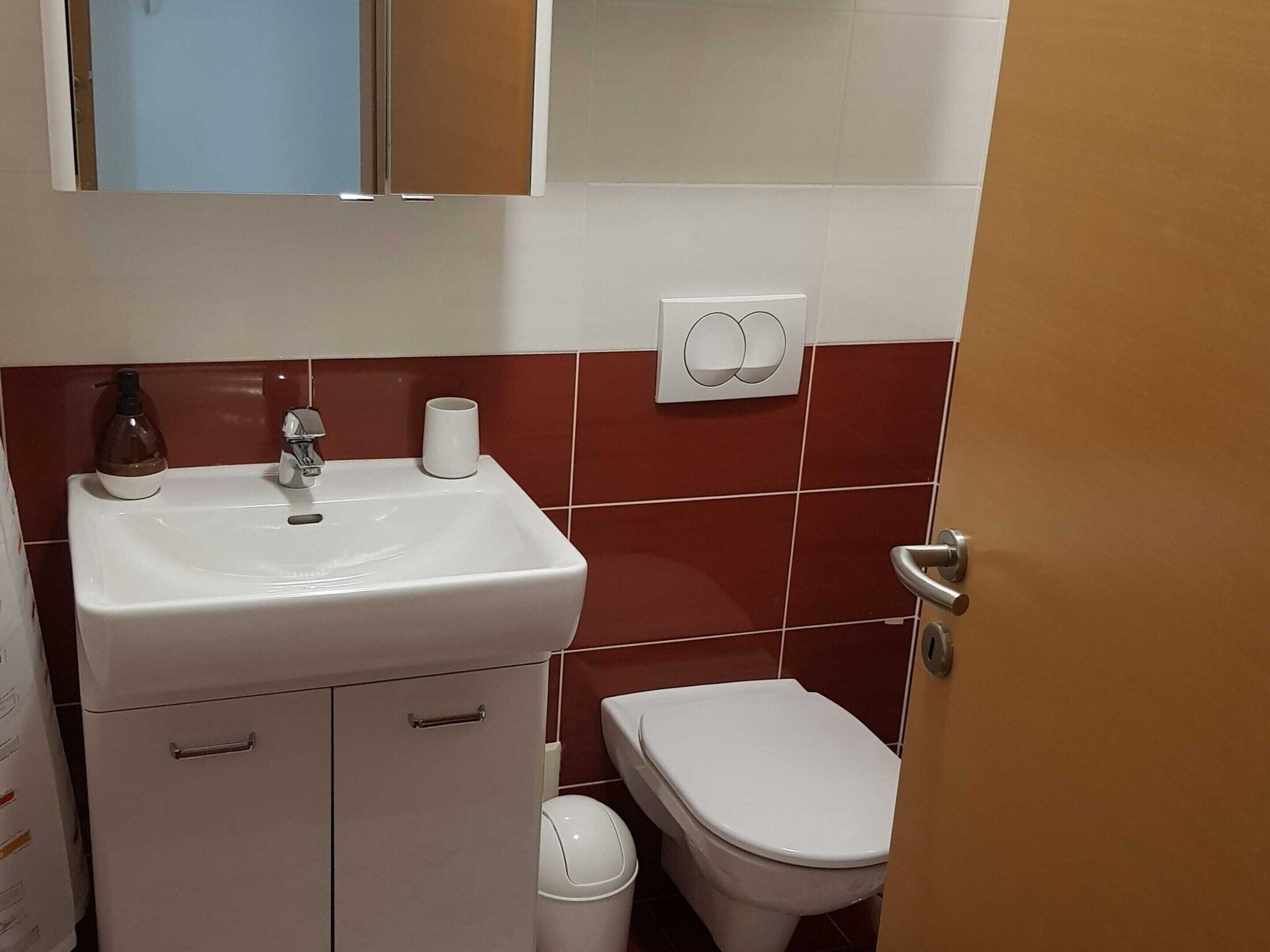 Un bagno con un lavandino bianco, uno specchio, un WC e un cestino.