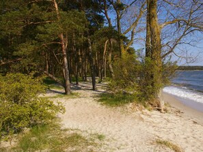 Beach - Cosy Apartment in Garz (Garz/Rügen)