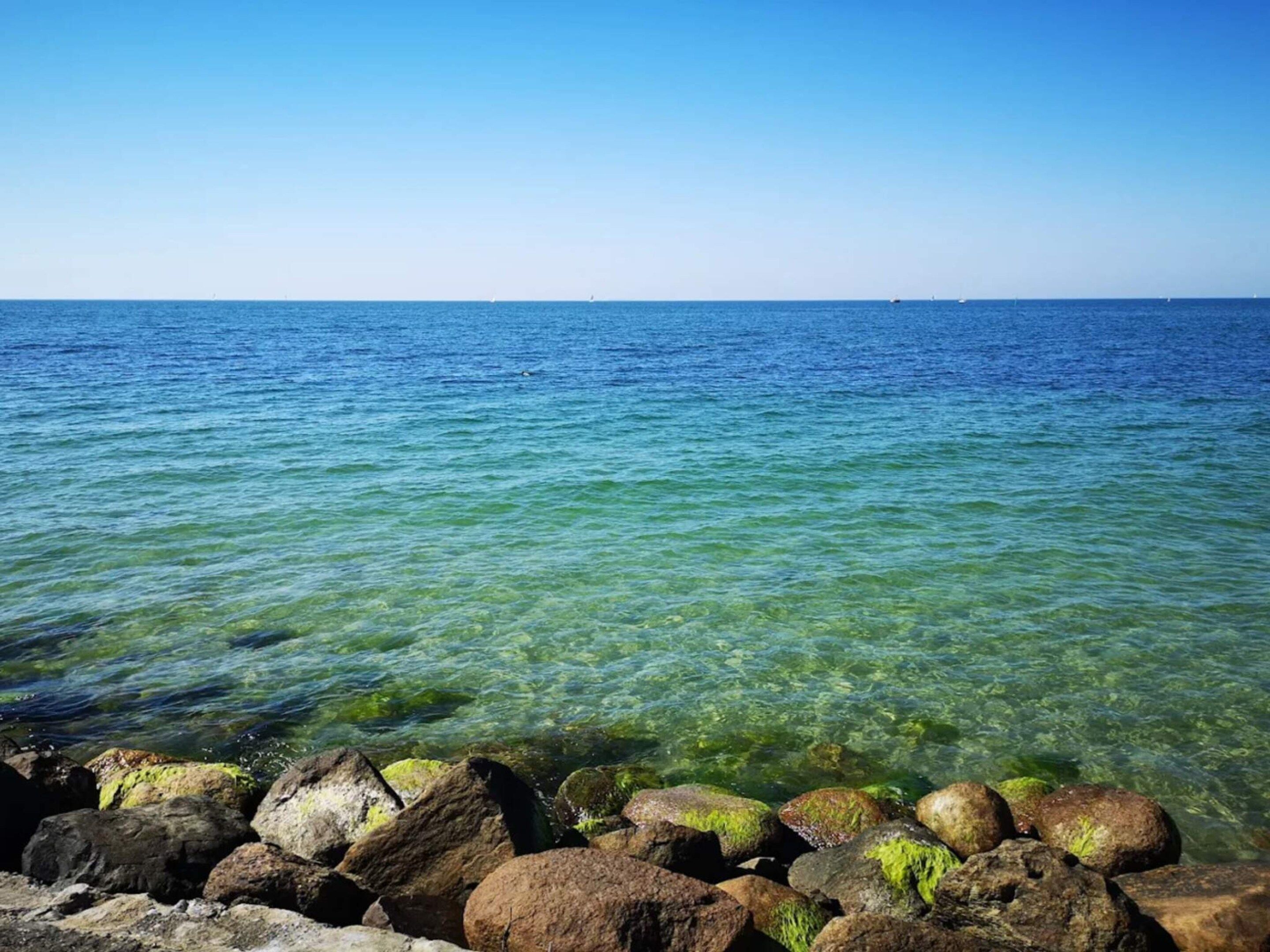 Vista nítida de uma costa rochosa com águas calmas.