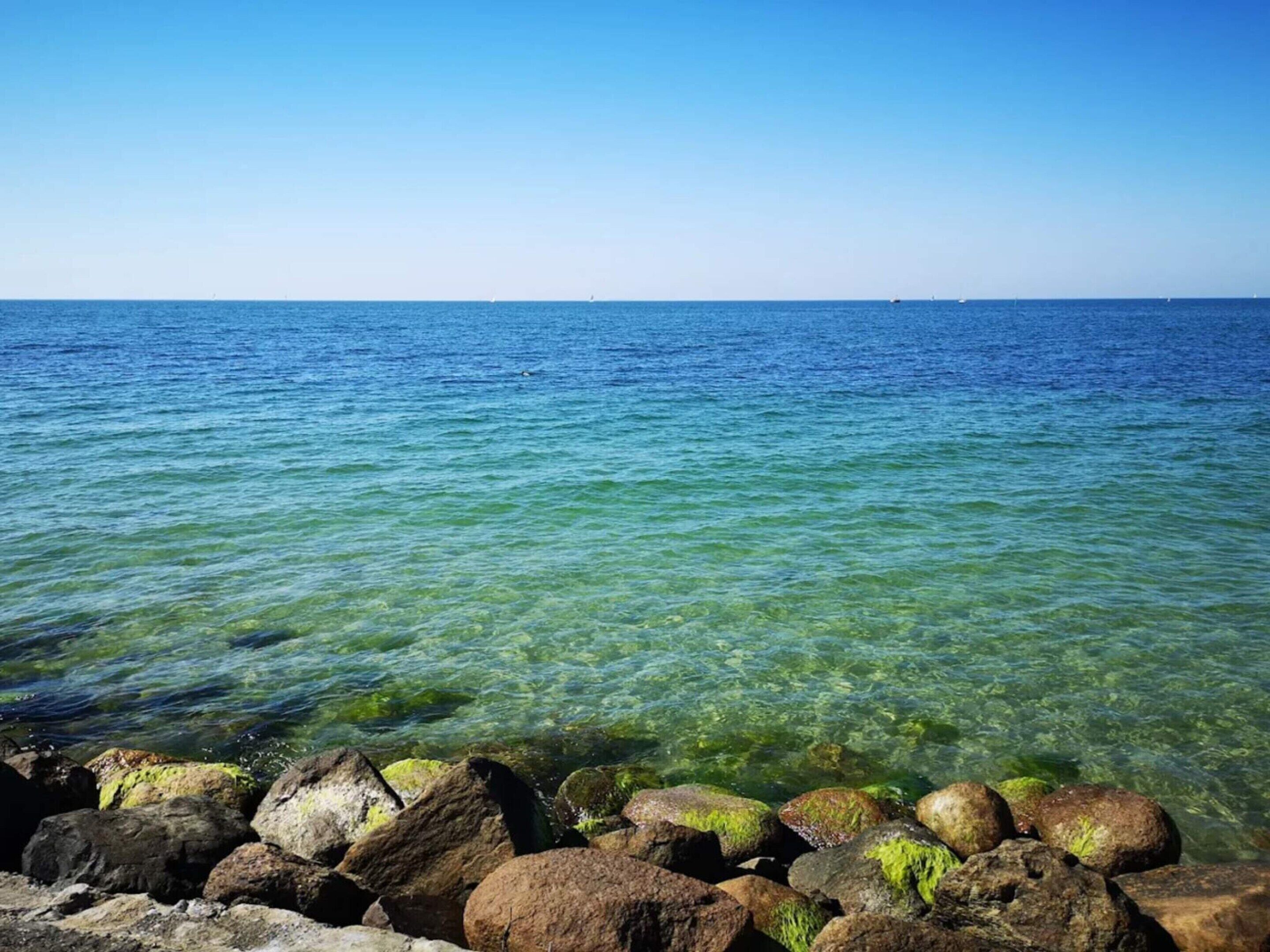 Vista al agua