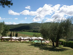 House | Pool | Outdoor pool