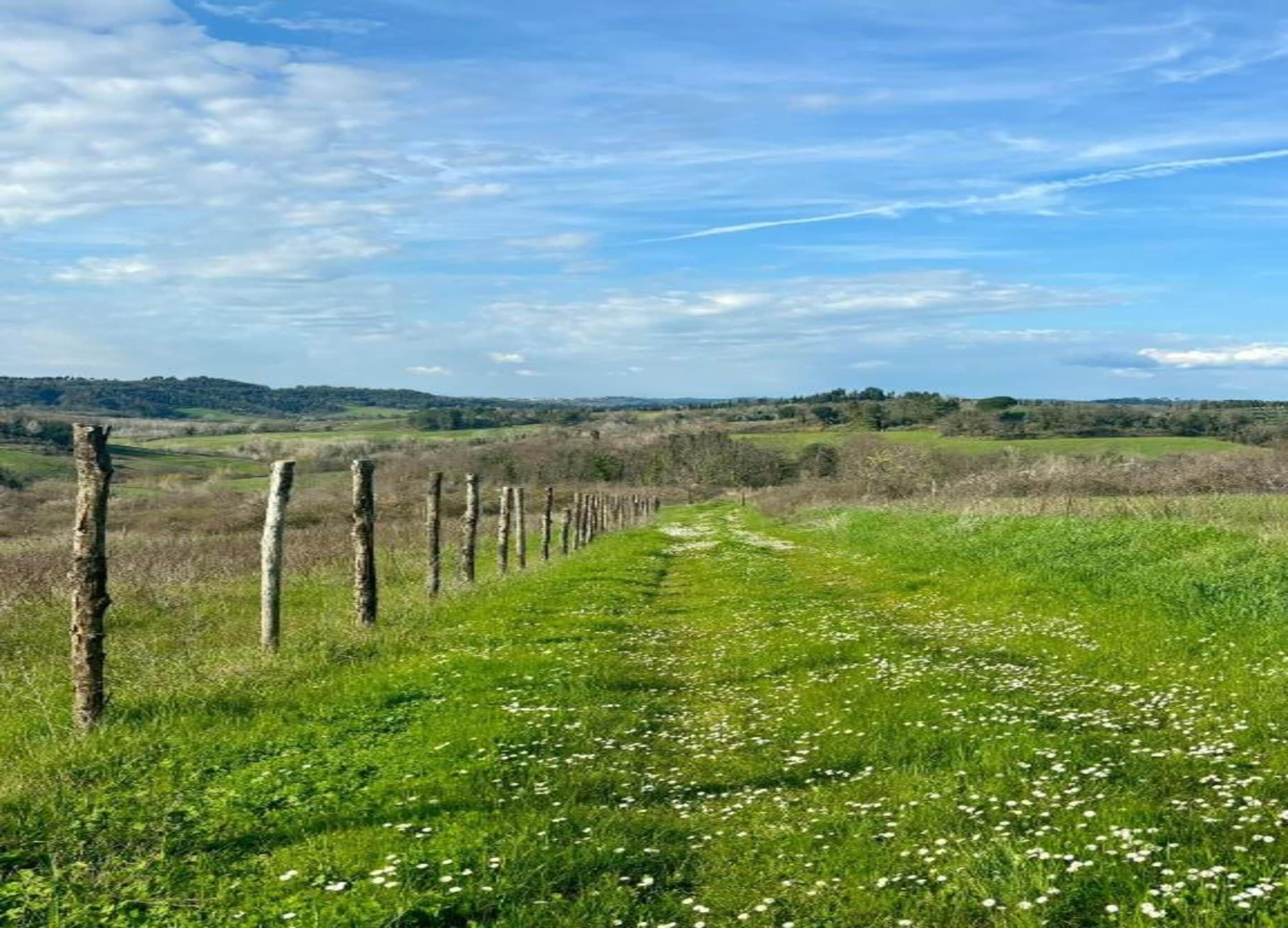 Ländliche Landschaft mit einem grasbewachsen Pfad, der von Holzbalken gesäumt wird und zu einer hügeligen Ferne führt.