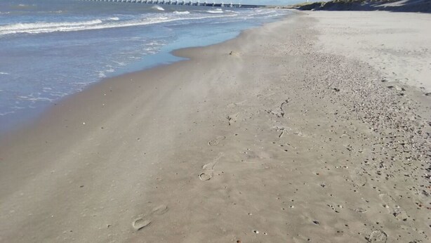 Beach - Villa "De Banjaard Zeeland" (Kamperland)