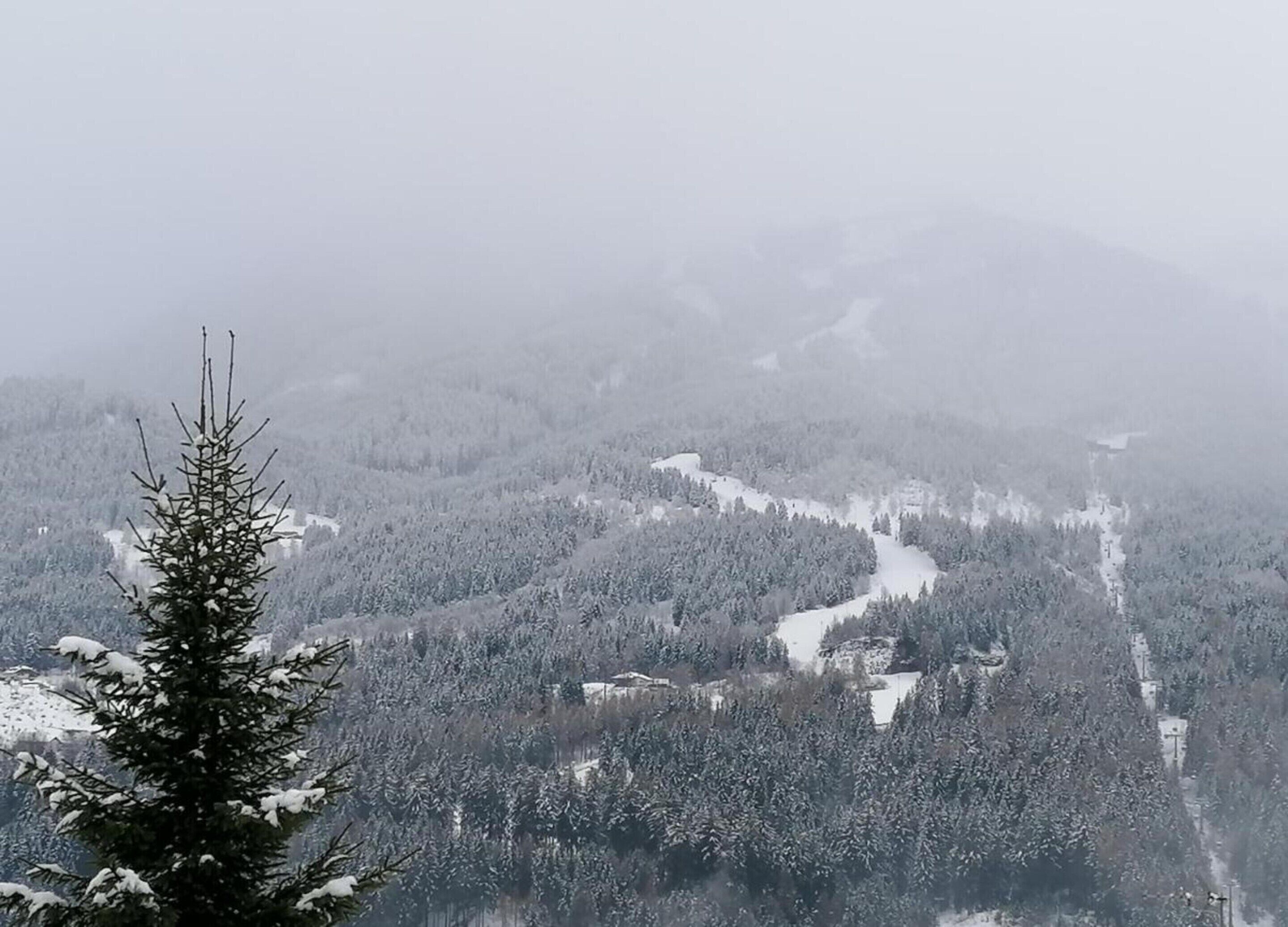 Schneegebirgtes Panorama mit dichten Wäldern und freiem Blick auf ein Tal.