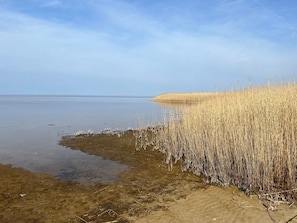 A calm body of water with a sandy shore and tall grasses. - 5 Person Holiday Home in Skjern (Skjern)